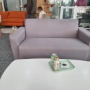 랙돌카페냐옹 | 인천 고양이카페 랙돌카페냐옹! 내돈내산 후기