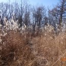 둔내정비 이미지