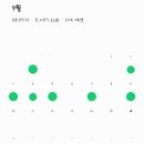 서평택국민체육센터 수영장 이미지