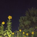 공휴 | 25년 10월의 마지막 주 극복후기 및 생생일상 공휴후기