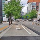 강남-186 이미지