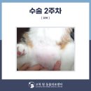고척원동물의료센터 이미지