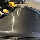 윈그루밍 이미지