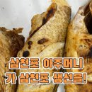 산호대로-16 네이버블로그