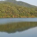 백운행정사사무소 이미지