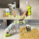 덴탈 케어 시스템 | 강아지 덴탈껌 추천 무밍 트위스츄&amp;무밍 트위스틱 오래먹는 간식으로 분리불안 해소까지