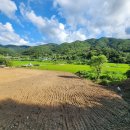 현지인공인중개사사무소 이미지