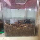 삼산두륜생태영농조합법인 이미지