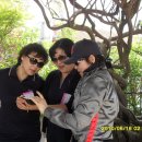 양천초교 이미지