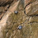 광천민박 이미지