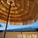 동근재 | [안동여행] 1박 2일/2일차/안동찜닭골목/밀레니엄찜닭/원진네김밥/월영당/월영교
