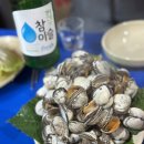 멍포차 | 중랑역 다운이네 포장마차 술집 김치삽겹맛집 인기최고 포차 후기/정보 등