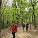 141차 정기산행 수리산산행및 호암공 기조선조님 묘소 참배 이미지