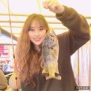남용호좌대 | [안면도 좌대낚시] 남용호/대원좌대 :: 조과 우럭 11마리 ˃̵͈̑ᴗ˂̵͈̑