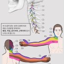 올고든한의원 이미지