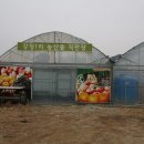 강청농장 이미지