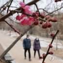 서쪽 이미지