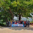 남해-163 이미지