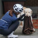 사랑스럽댕 이미지