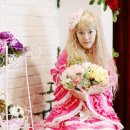 파라키스 이미지