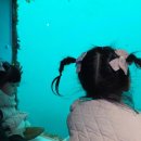 가나해양 | 아기랑 가볼만한 곳 바닷속전망대가 있는 국립해양과학관 후기 (주차, 입장료, 운영시간, 수유실, 카페)