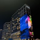 부산뷰호텔 | 부산 그랜드조선 호텔, 슈페리어 더블 시티뷰 내돈내산 후기