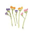 나오스빌라 이미지