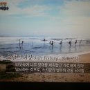 낚시창고 - 시흥시 정왕천로375번길 1 | 낚시창고