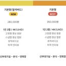 드뉴
