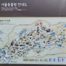 서울대공원 캠핑장 | [서울대공원 동물원+캠핑장] 방문 후기