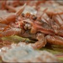 달큼이네민박 이미지