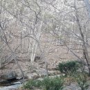 제2금강산 등산로입구 이미지