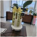 송원세무회계