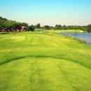 베스트골프 이미지