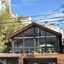 (주)모모스 | 부산 모모스커피 목련 실시간 만개+웨이팅 현실 후기 (금요일 오후 기준)