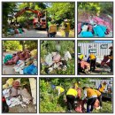 김선태농장 이미지