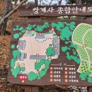 쌍계사수목장림 티스토리
