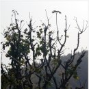 율리영해로 이미지