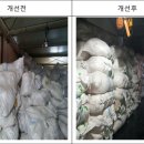 목화표장갑 이미지