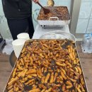 명인태권도장 이미지