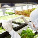 장파농장 이미지