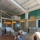 등교하개 이미지