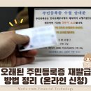 마모이룸 이미지