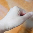콜라닉 | 금.불가사리 저분자 콜라겐 듬뿍~콜라닉 마린 인텐시브 앰플 세럼 사용후기