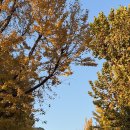 전일찬 | 북촌·안국역 | 파스타 대존맛 이태리재 솔직후기[내돈내산, 메뉴, 위치, 서촌, 서촌 단풍, 찐맛집]