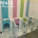 남서울펫호텔 이미지