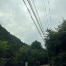 숲속에 머물다 이미지