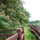 장자호수생태공원 이미지