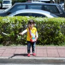 곡성-264 이미지