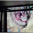 수원-0580 이미지